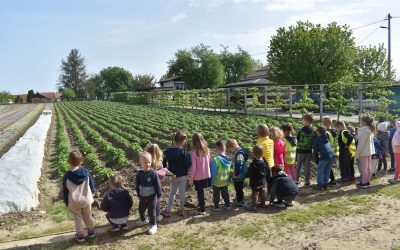 Dan Zemlje – obisk vrtnarije