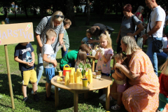 2024-06-bibinvaras-12